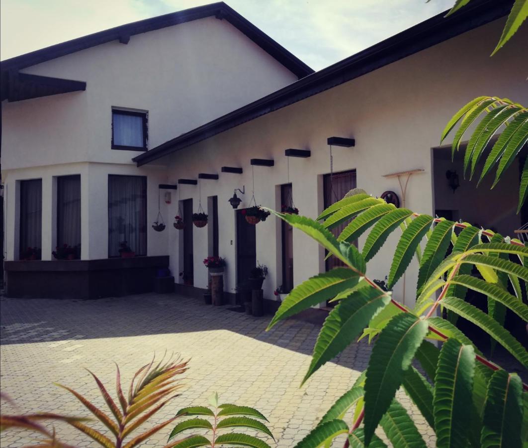 Dridif 135 Bed & Breakfast Ngoại thất bức ảnh