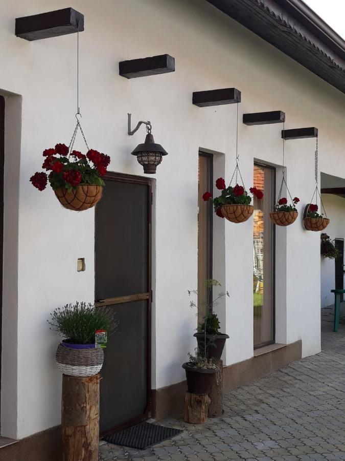 Dridif 135 Bed & Breakfast Ngoại thất bức ảnh